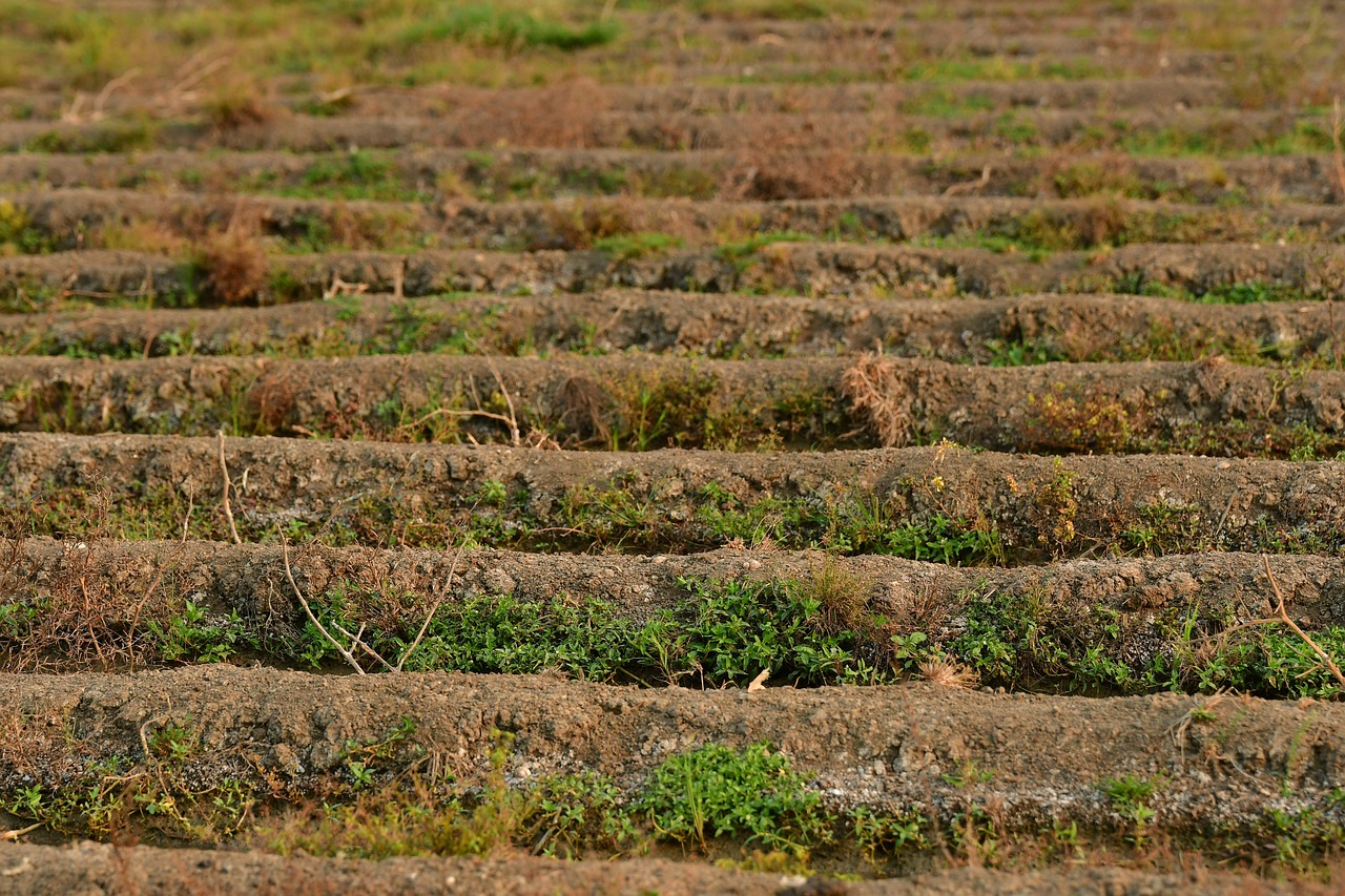 Farm Embankment