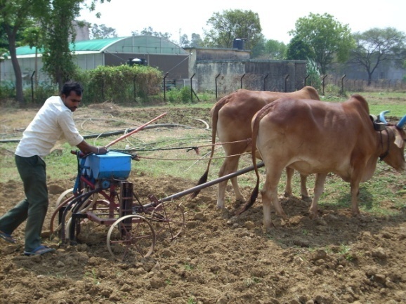 Fesfo plough