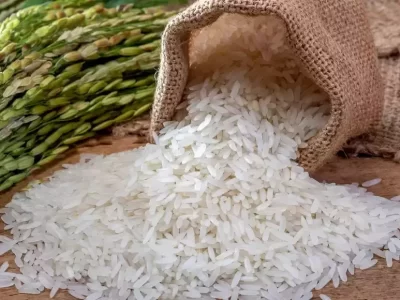 India Caps Rice Exports