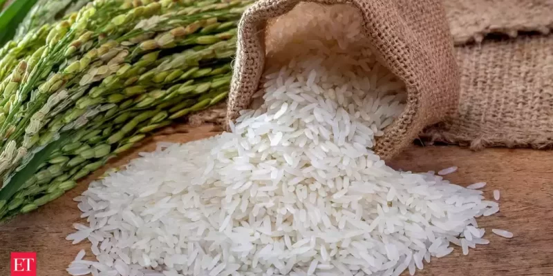 India Caps Rice Exports