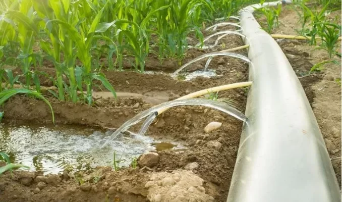 Irrigation System