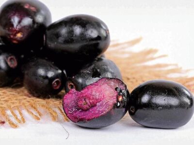 Jamun Fruit Health Secrets