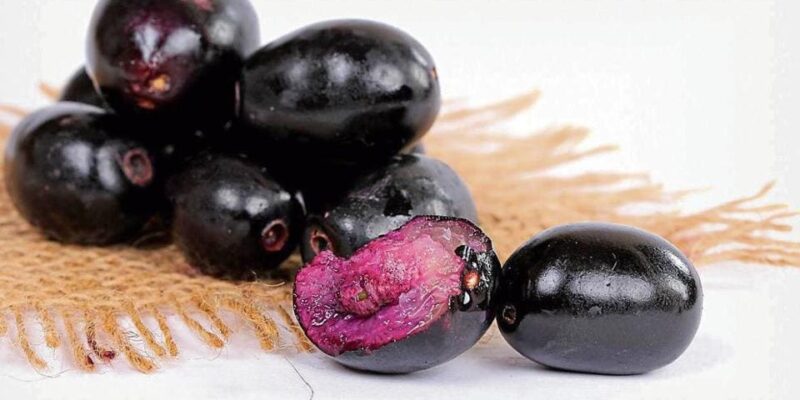 Jamun Fruit Health Secrets