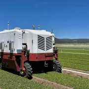 Laser Weeding Robot