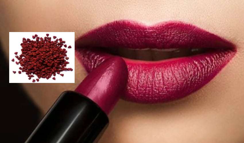 Lipstick Seeds Farming