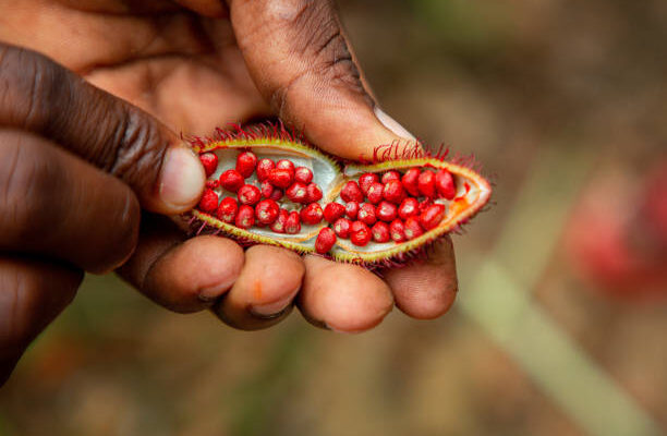 Lipstick Seeds