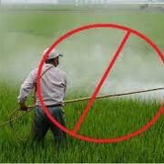 Ban on Pesticides