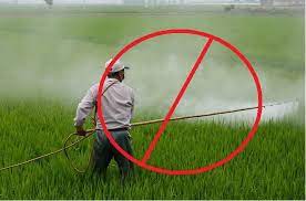 Ban on Pesticides