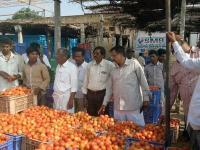 Madanapalle Tomato Market