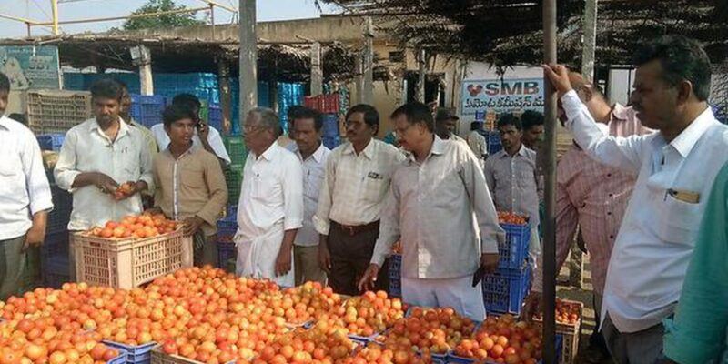 Madanapalle Tomato Market