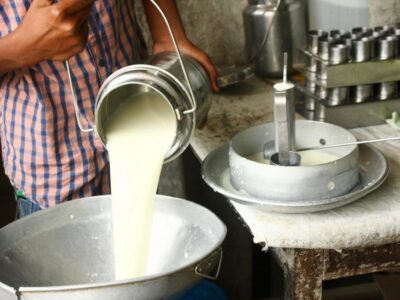 Milk Production