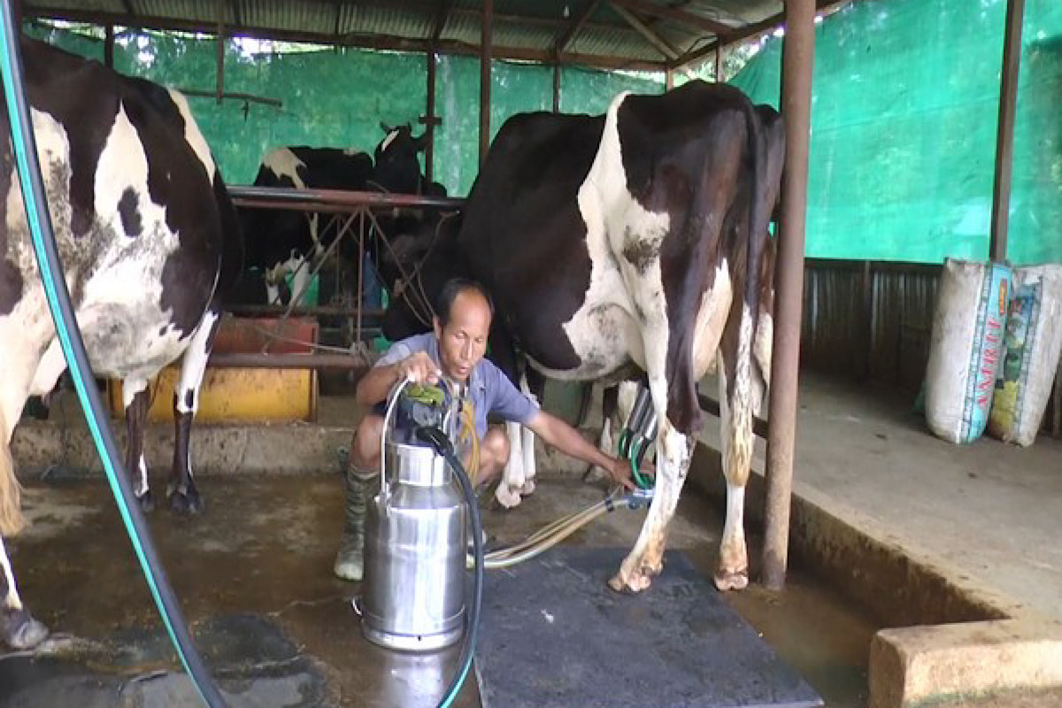 Milk Production