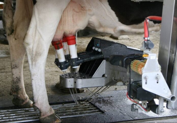 Milking Machines Benefits