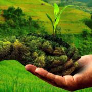 Natural Cultivation