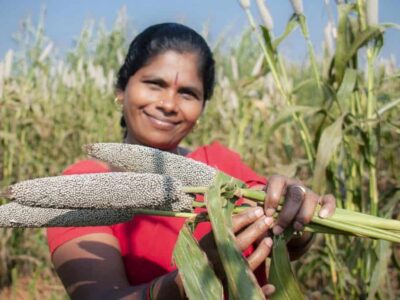 Pearl Millet Farming