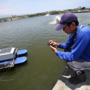Pond Water Quality Management