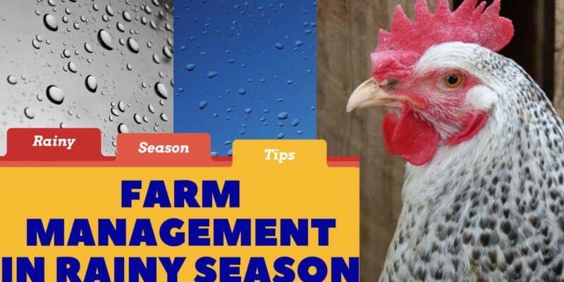 Poultry Management