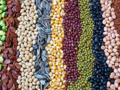 Pulses Adulteration Test