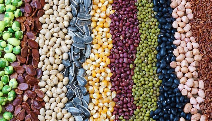 Pulses Adulteration Test