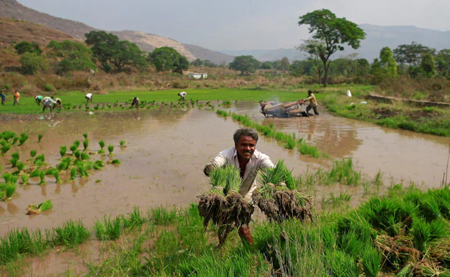 Safety Tips to Farmers in Rainy Season