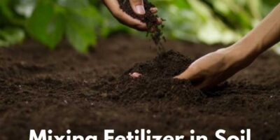 Soil Fertilizer Mixture