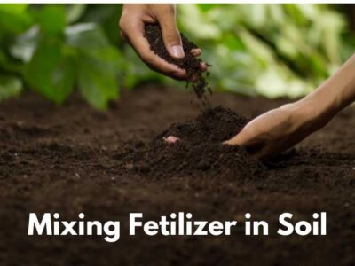 Soil Fertilizer Mixture