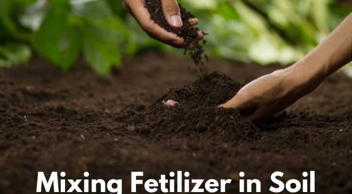 Soil Fertilizer Mixture