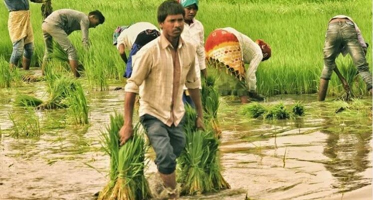 Rains in Telangana