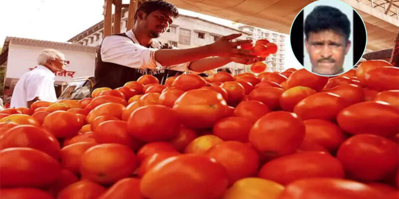 Tomato Farmer