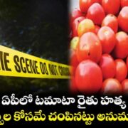 Tomato Farmer Murder