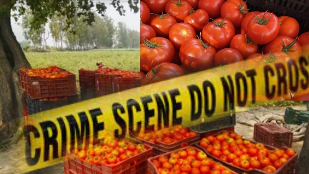 Tomato Farmer Murder