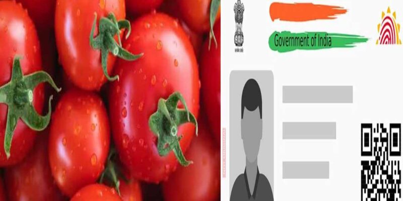 Tomato linked with Aadhar Card