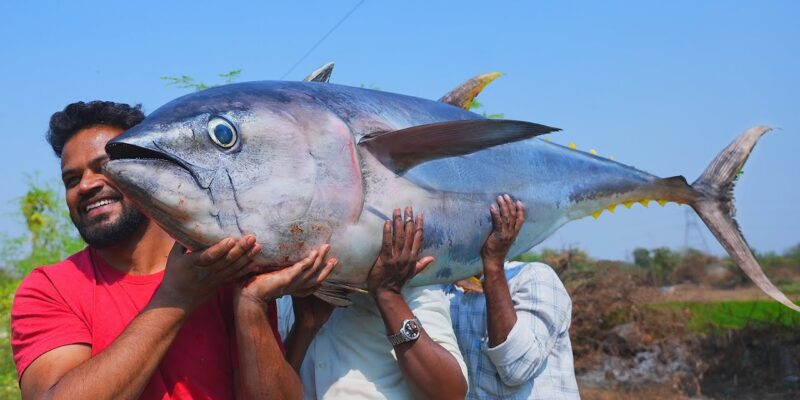Tuna Fish Demand