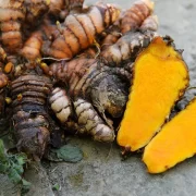 Turmeric Digging