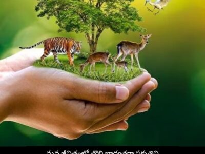 World Nature Conservation Day 2023