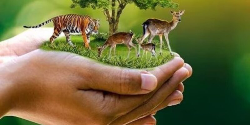 World Nature Conservation Day 2023