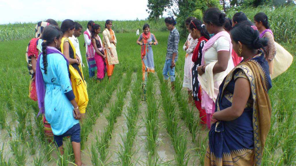 Youth in Agriculture