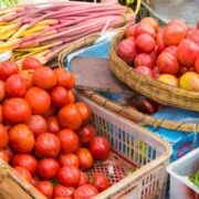 Tomato Price