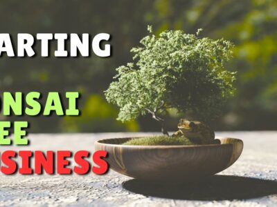 Bonsai Plants Business
