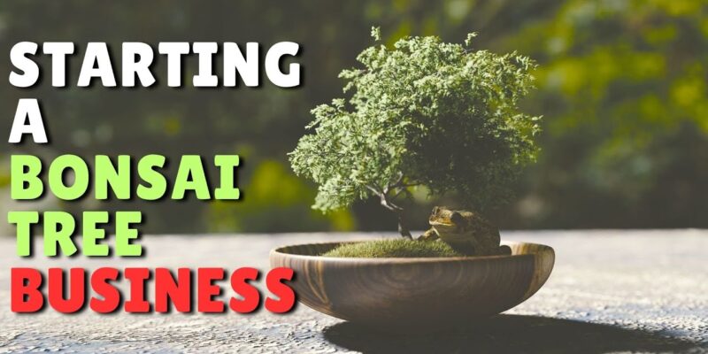 Bonsai Plants Business