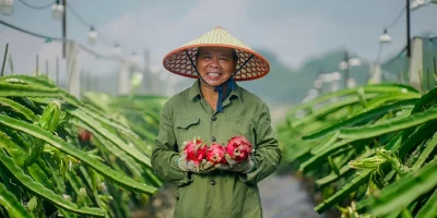 China's Engagement in Agriculture
