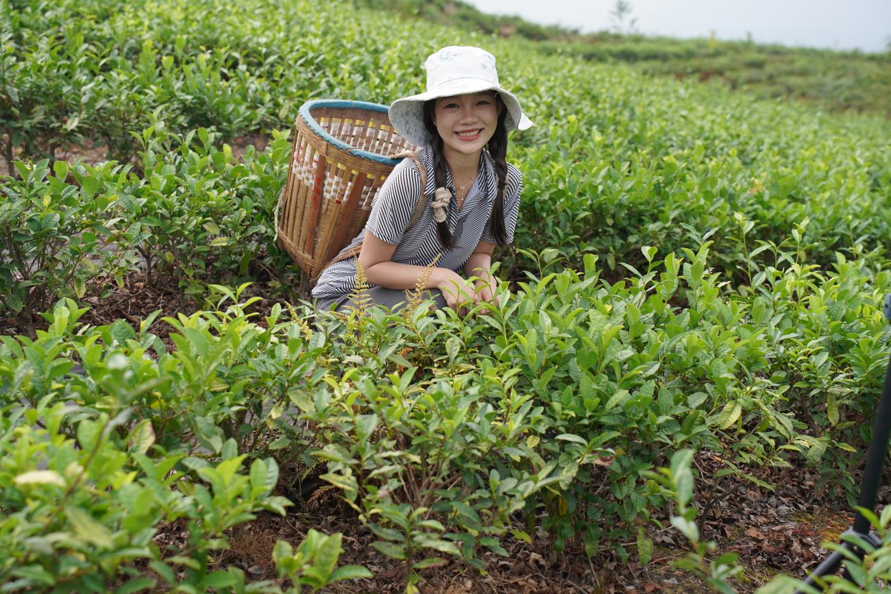 China's Engagement in Agriculture