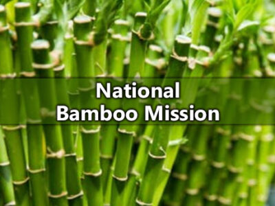 National Bamboo Mission