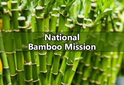 National Bamboo Mission