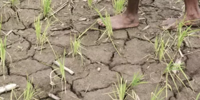 Rayalaseema Drought
