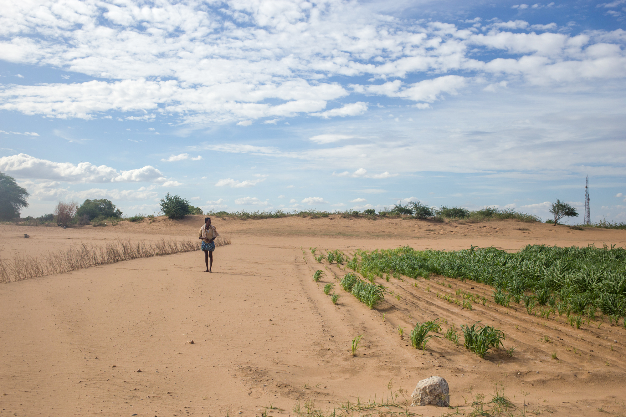 Rayalaseema Drought