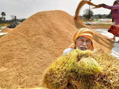 Rice Farmers Struggles