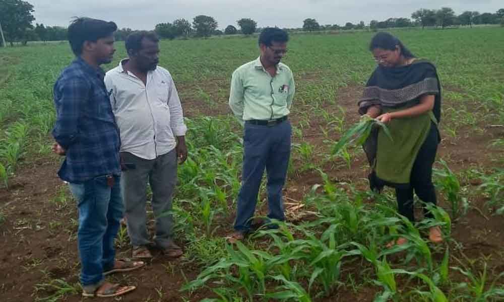 AEO Agricultural Extension Officers