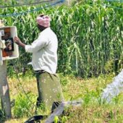 Agricultural Electricity Connections