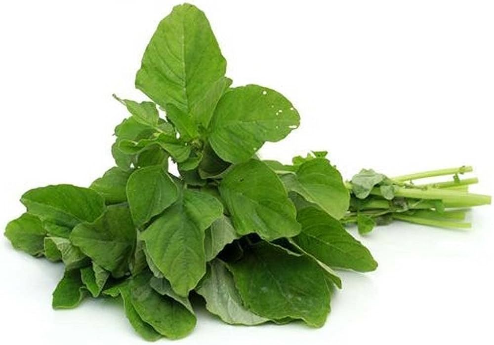 Amaranthus Leaf Cultivation